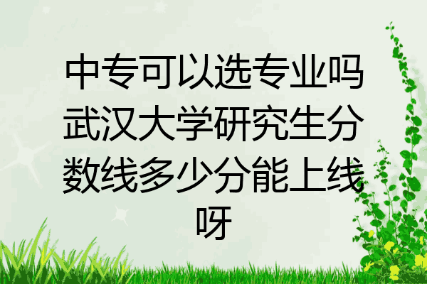 中专可以选专业吗武汉大学研究生分数线多少分能上线呀