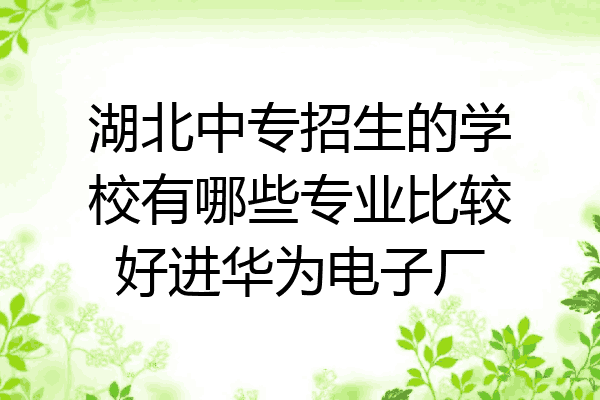 湖北中专招生的学校有哪些专业比较好进华为电子厂