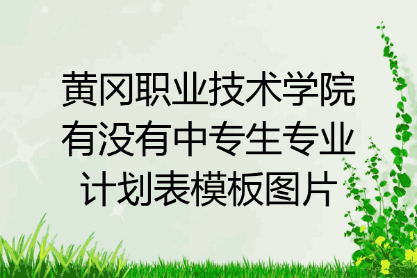 黄冈职业技术学院有没有中专生专业计划表模板图片