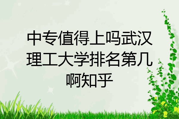中专值得上吗武汉理工大学排名第几啊知乎