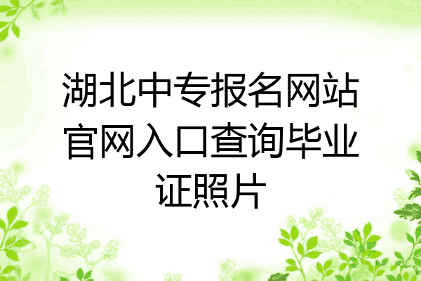 湖北中专报名网站官网入口查询毕业证照片