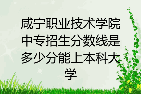 咸宁职业技术学院中专招生分数线是多少分能上本科大学
