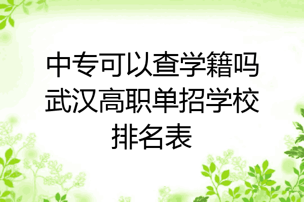 中专可以查学籍吗武汉高职单招学校排名表