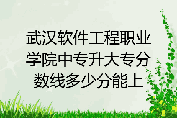 武汉软件工程职业学院中专升大专分数线多少分能上