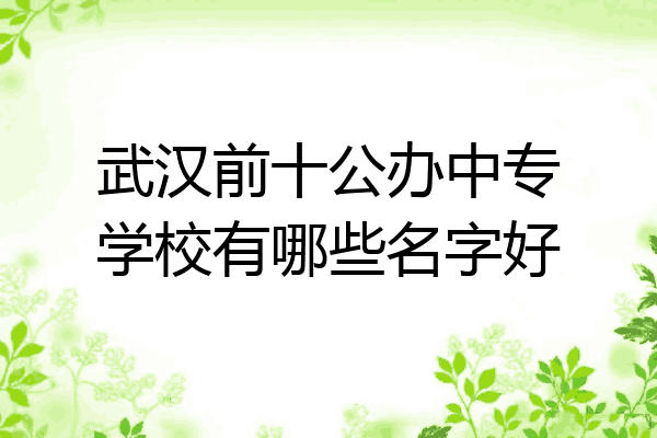 武汉前十公办中专学校有哪些名字好