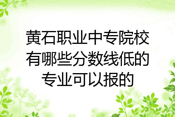 黄石职业中专院校有哪些分数线低的专业可以报的