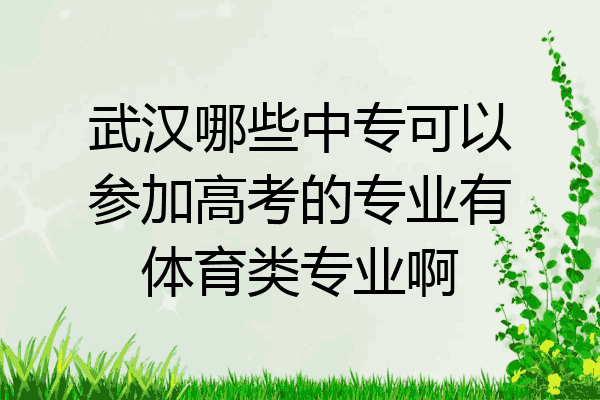 武汉哪些中专可以参加高考的专业有体育类专业啊
