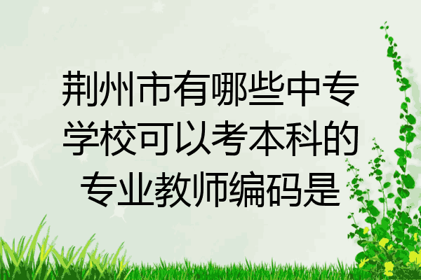 荆州市有哪些中专学校可以考本科的专业教师编码是