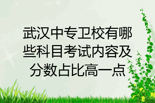 武汉中专卫校有哪些科目考试内容及分数占比高一点