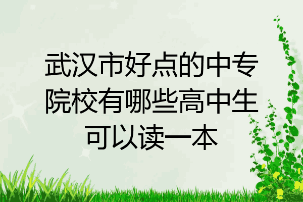 武汉市好点的中专院校有哪些高中生可以读一本