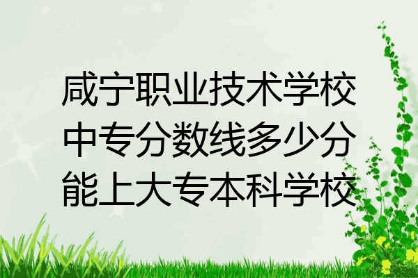 咸宁职业技术学校中专分数线多少分能上大专本科学校