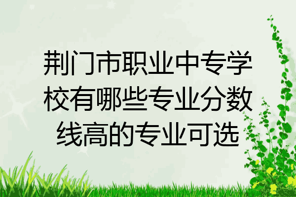 荆门市职业中专学校有哪些专业分数线高的专业可选