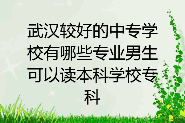 武汉较好的中专学校有哪些专业男生可以读本科学校专科