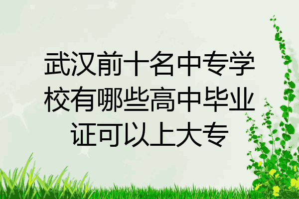 武汉前十名中专学校有哪些高中毕业证可以上大专