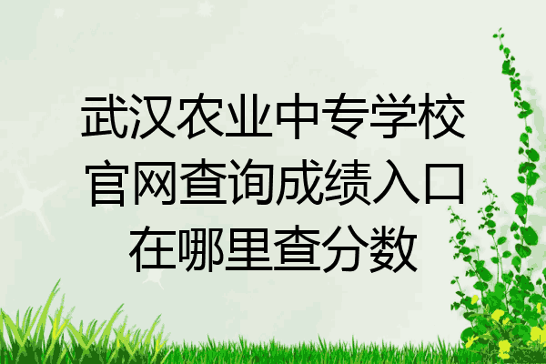 武汉农业中专学校官网查询成绩入口在哪里查分数