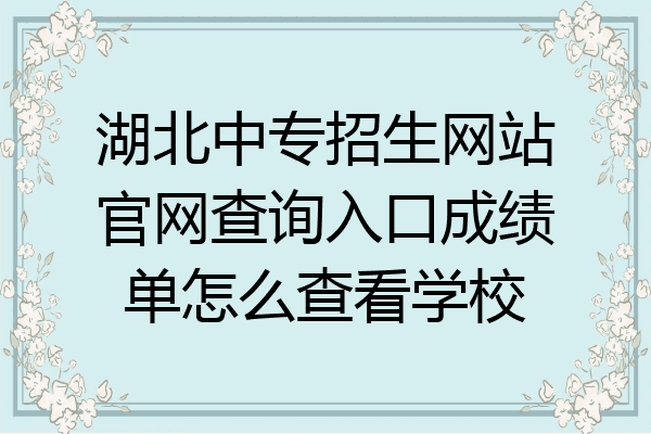 湖北中专招生网站官网查询入口成绩单怎么查看学校