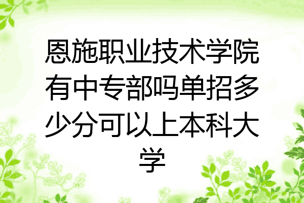 恩施职业技术学院有中专部吗单招多少分可以上本科大学