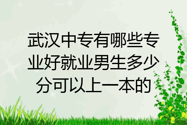 武汉中专有哪些专业好就业男生多少分可以上一本的