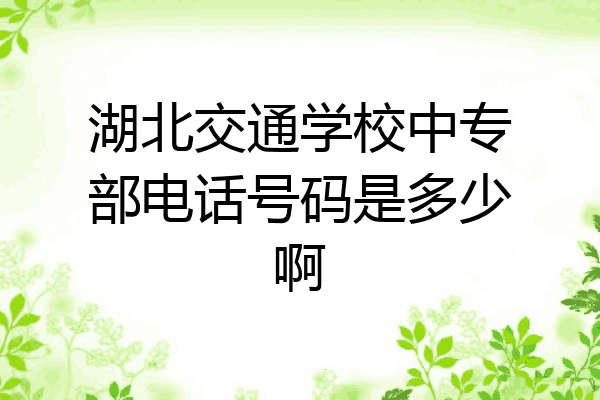 湖北交通学校中专部电话号码是多少啊