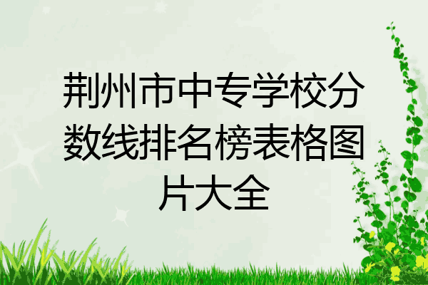 荆州市中专学校分数线排名榜表格图片大全