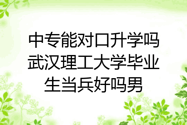中专能对口升学吗武汉理工大学毕业生当兵好吗男