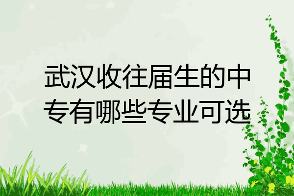 武汉收往届生的中专有哪些专业可选