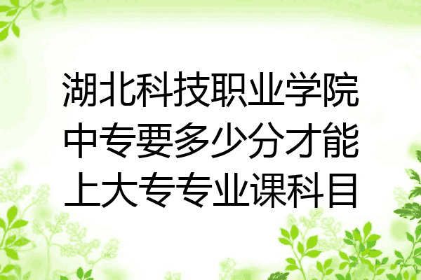 湖北科技职业学院中专要多少分才能上大专专业课科目