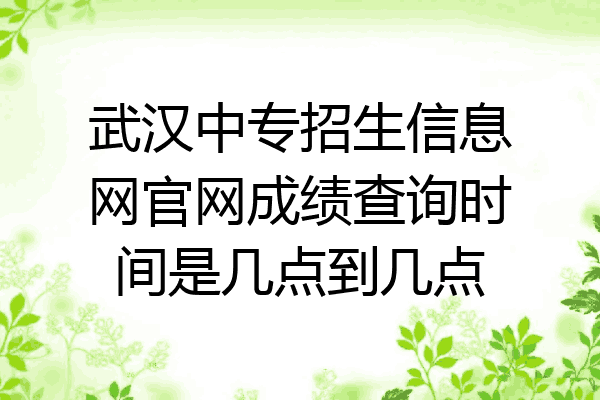 武汉中专招生信息网官网成绩查询时间是几点到几点