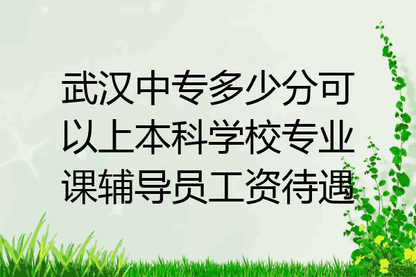 武汉中专多少分可以上本科学校专业课辅导员工资待遇