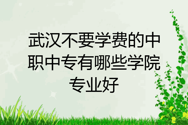 武汉不要学费的中职中专有哪些学院专业好