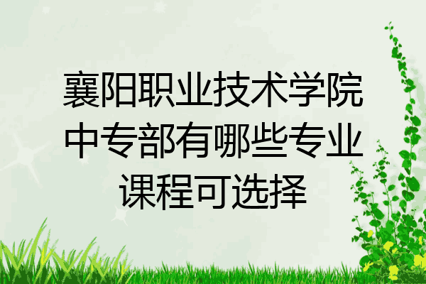襄阳职业技术学院中专部有哪些专业课程可选择