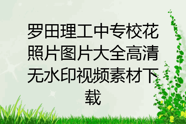 罗田理工中专校花照片图片大全高清无水印视频素材下载