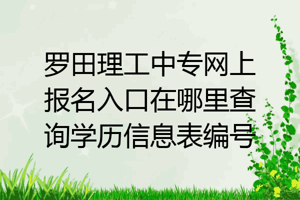 罗田理工中专网上报名入口在哪里查询学历信息表编号