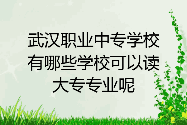 武汉职业中专学校有哪些学校可以读大专专业呢