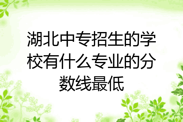 湖北中专招生的学校有什么专业的分数线最低