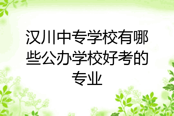 汉川中专学校有哪些公办学校好考的专业