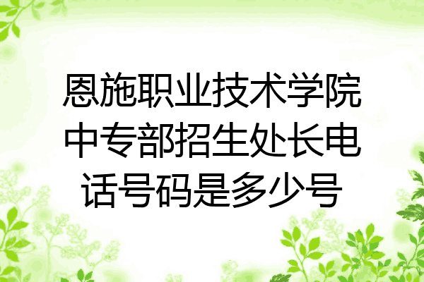 恩施职业技术学院中专部招生处长电话号码是多少号