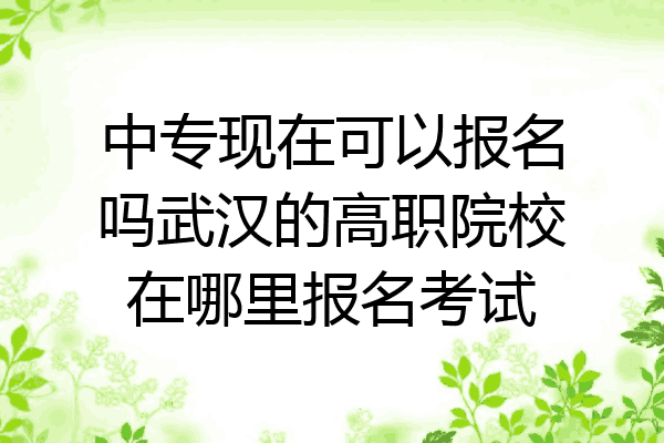 中专现在可以报名吗武汉的高职院校在哪里报名考试