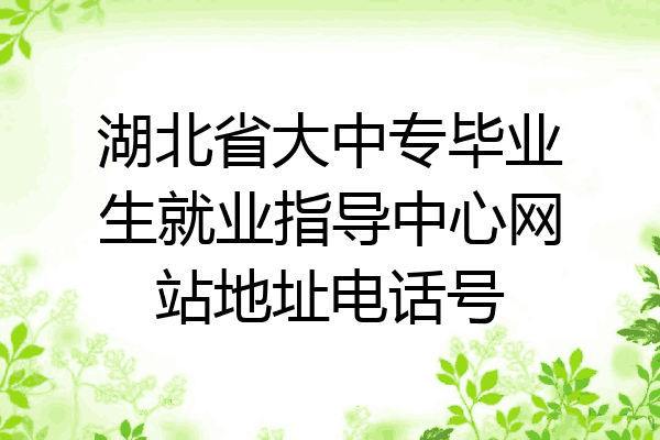 湖北省大中专毕业生就业指导中心网站地址电话号