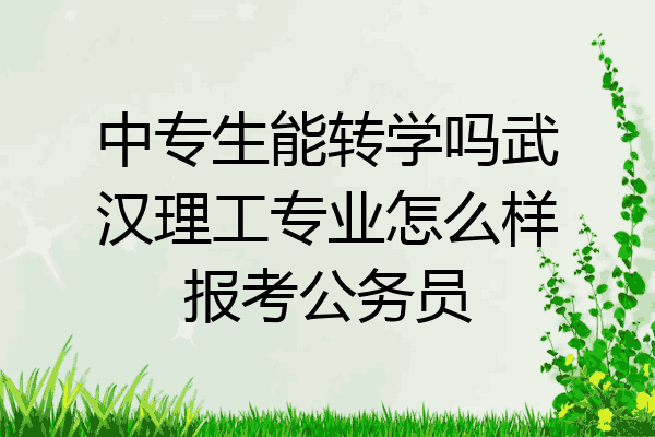 中专生能转学吗武汉理工专业怎么样报考公务员