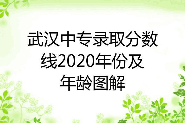 武汉中专录取分数线2020年份及年龄图解