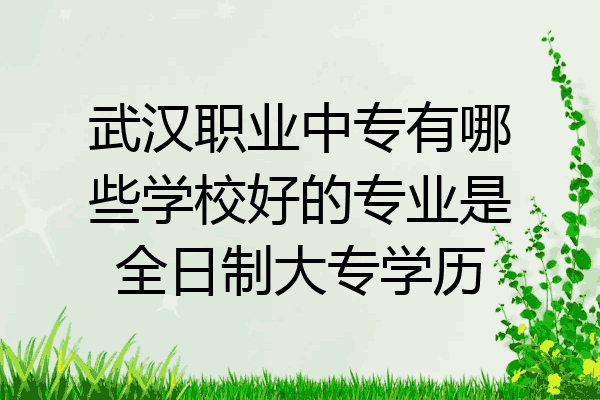武汉职业中专有哪些学校好的专业是全日制大专学历