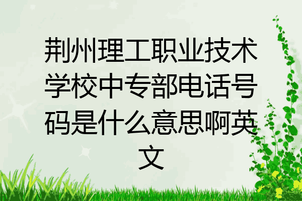 荆州理工职业技术学校中专部电话号码是什么意思啊英文