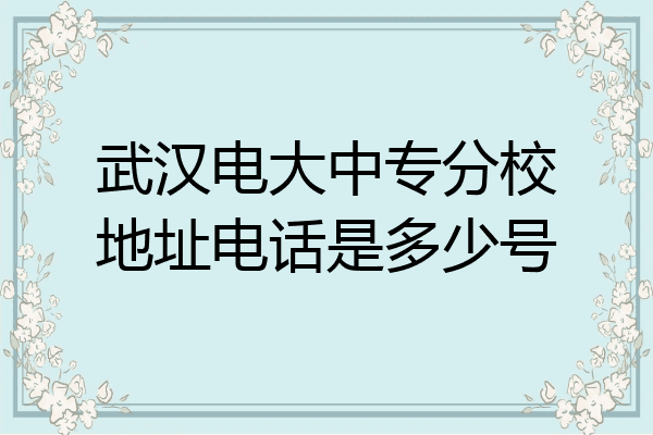 武汉电大中专分校地址电话是多少号