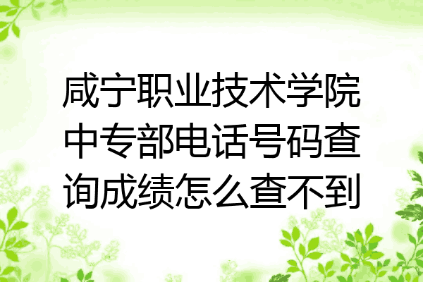 咸宁职业技术学院中专部电话号码查询成绩怎么查不到