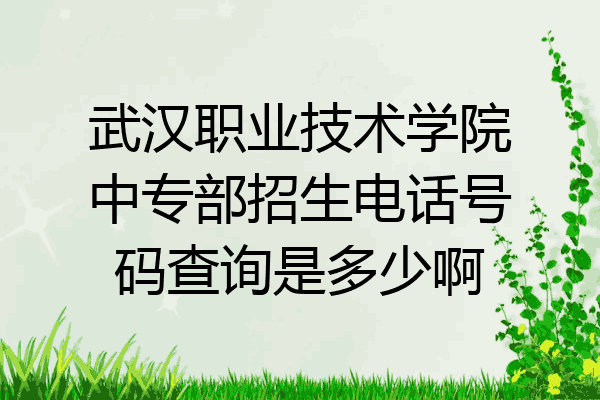 武汉职业技术学院中专部招生电话号码查询是多少啊