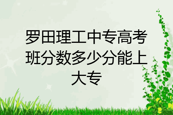 罗田理工中专高考班分数多少分能上大专