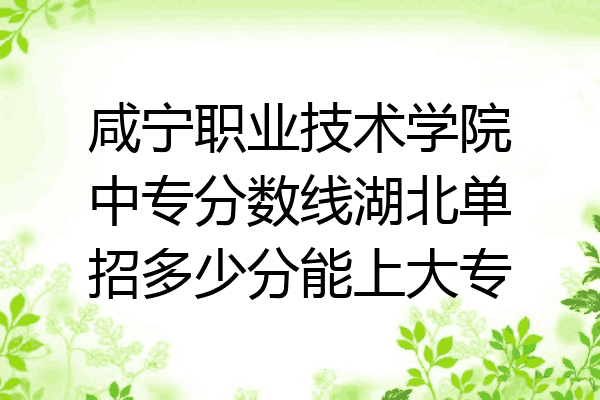 咸宁职业技术学院中专分数线湖北单招多少分能上大专