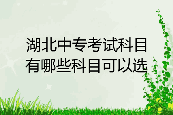 湖北中专考试科目有哪些科目可以选