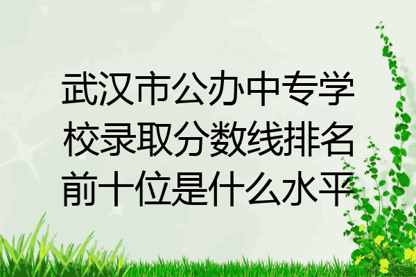 武汉市公办中专学校录取分数线排名前十位是什么水平